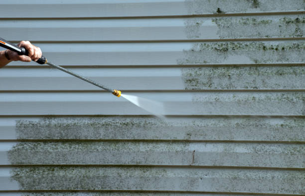 Solar Panel Cleaning in Lone Star, TX